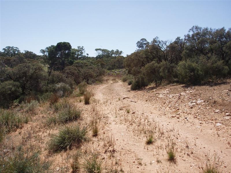 Lot 9 Black Hill Road, Black Hill SA 5353