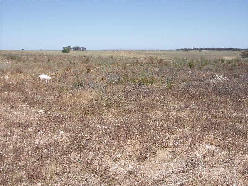 Lot 9 Black Hill Road, Black Hill SA 5353