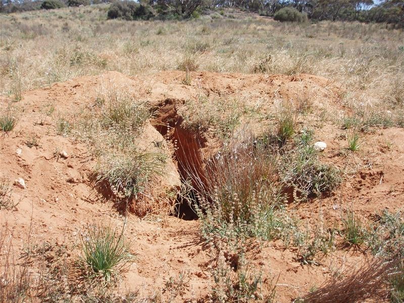 Lot 9 Black Hill Road, Black Hill SA 5353