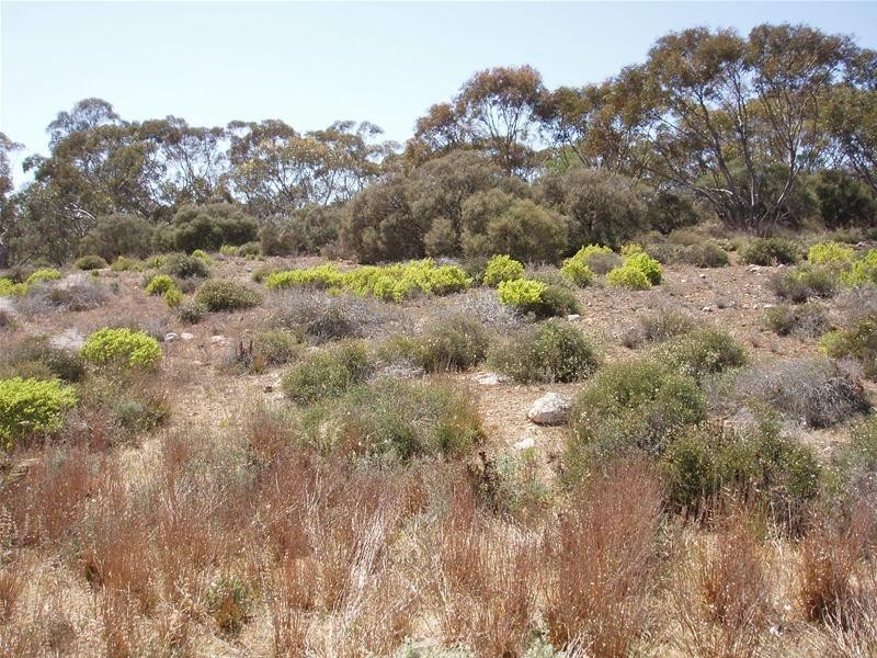 Lot 9 Black Hill Road, Black Hill SA 5353