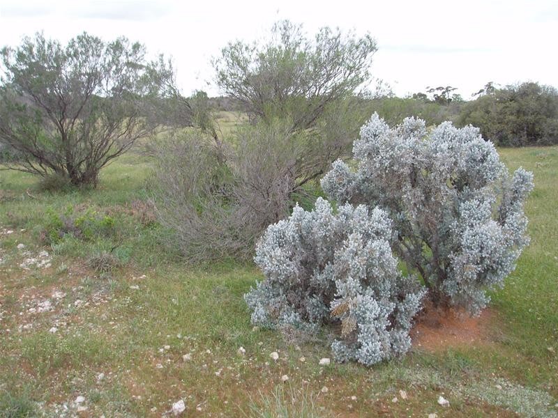 3 Murraylands Road, Punyelroo SA 5354