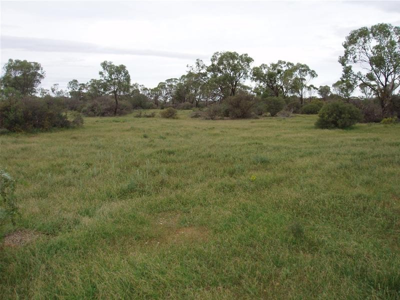 3 Murraylands Road, Punyelroo SA 5354