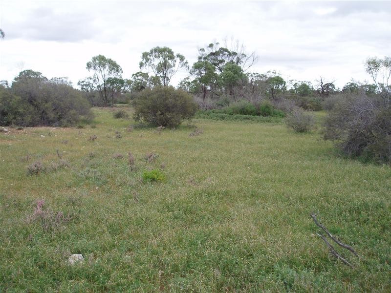 3 Murraylands Road, Punyelroo SA 5354