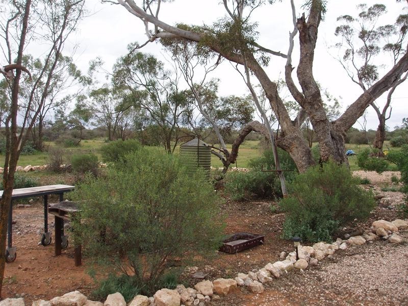 3 Murraylands Road, Punyelroo SA 5354