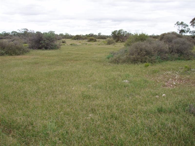 3 Murraylands Road, Punyelroo SA 5354