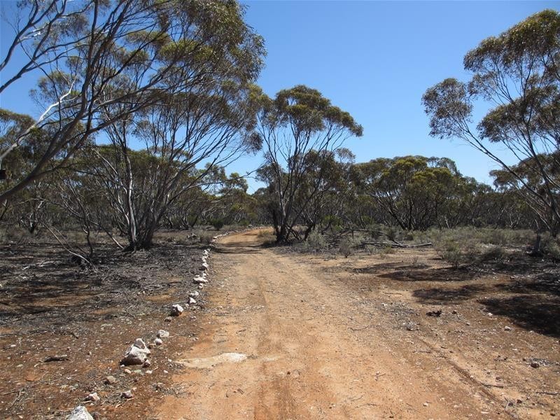 Lot 9 Old Punyelroo Road, Swan Reach SA 5354