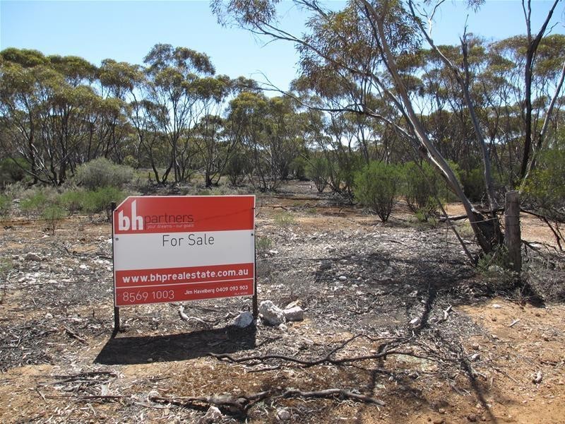 Lot 9 Old Punyelroo Road, Swan Reach SA 5354