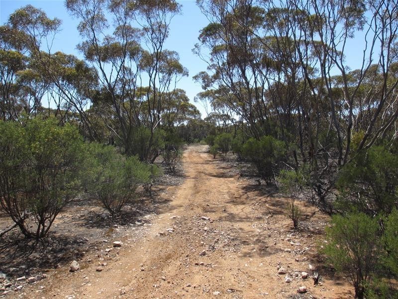 Lot 9 Old Punyelroo Road, Swan Reach SA 5354