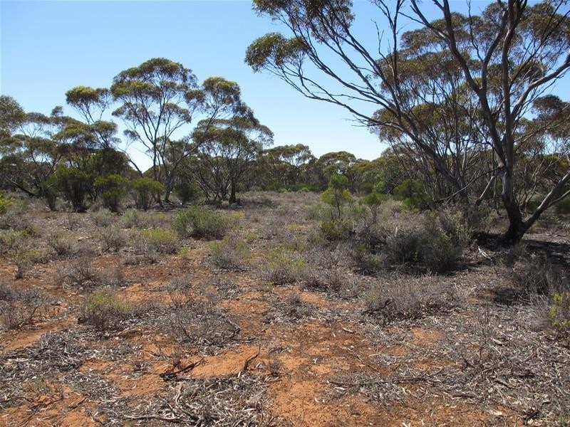 Lot 9 Old Punyelroo Road, Swan Reach SA 5354