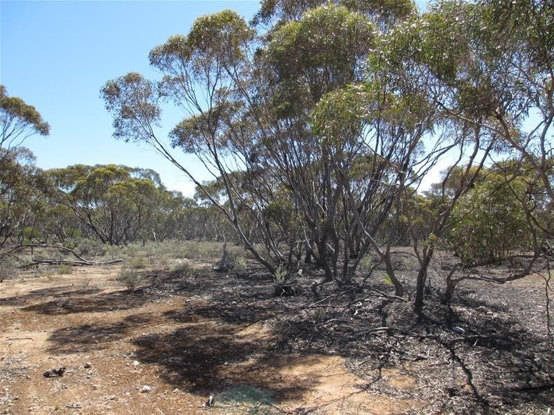 Lot 9 Old Punyelroo Road, Swan Reach SA 5354