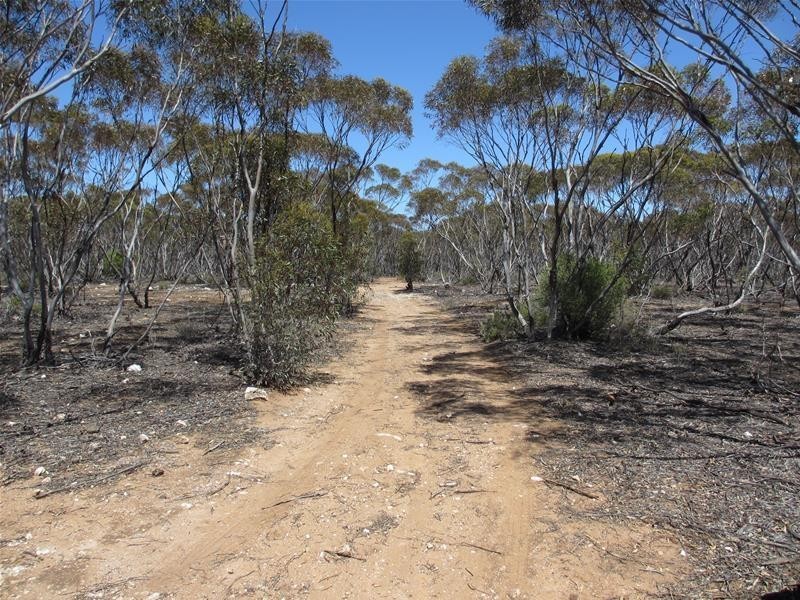 Lot 9 Old Punyelroo Road, Swan Reach SA 5354