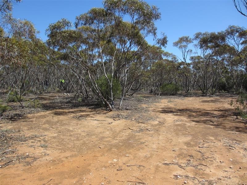 Lot 9 Old Punyelroo Road, Swan Reach SA 5354