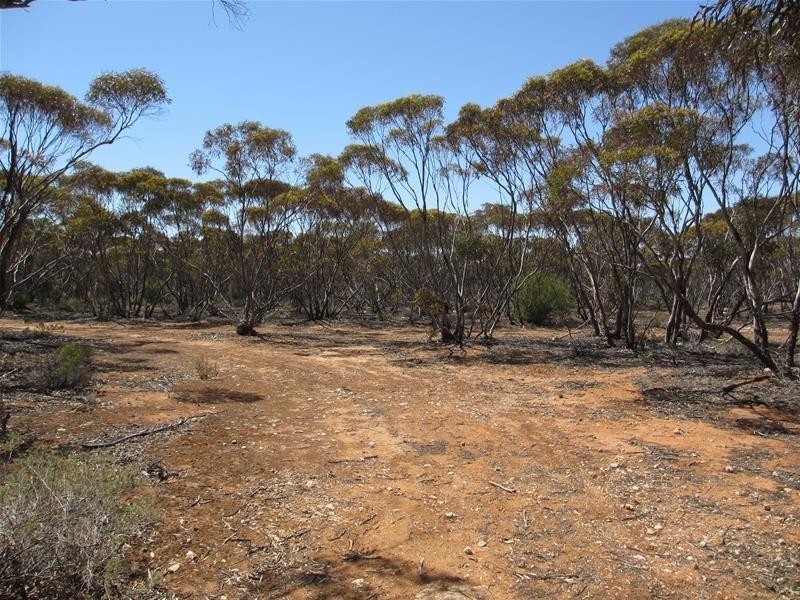 Lot 9 Old Punyelroo Road, Swan Reach SA 5354