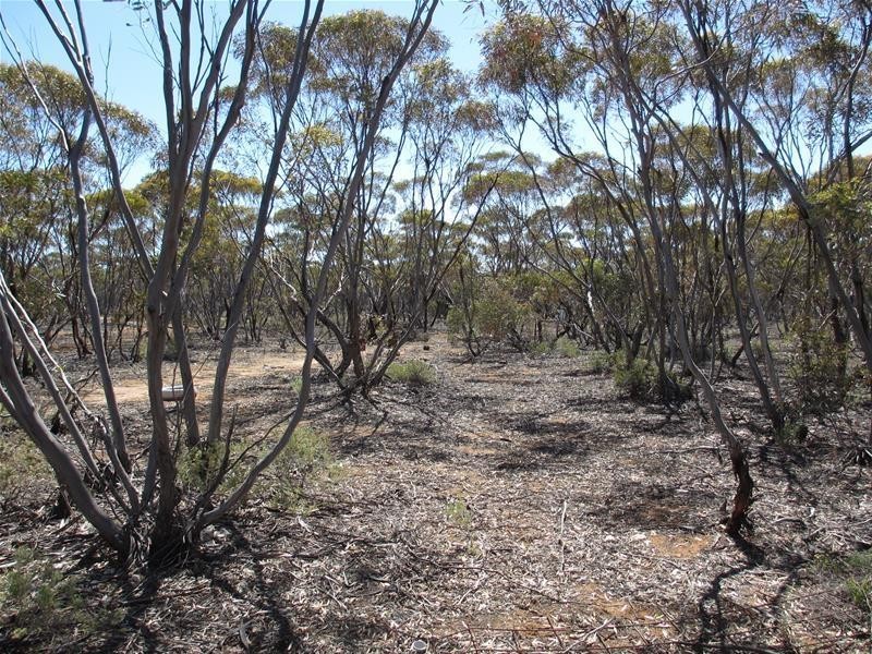 Lot 9 Old Punyelroo Road, Swan Reach SA 5354