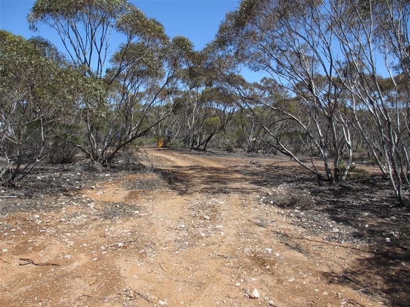 Lot 9 Old Punyelroo Road, Swan Reach SA 5354