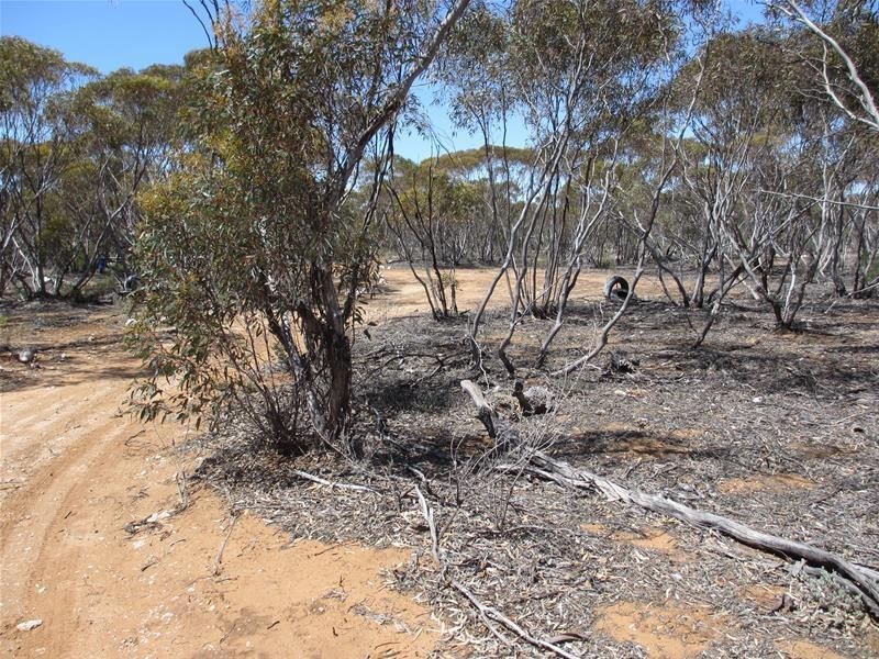 Lot 9 Old Punyelroo Road, Swan Reach SA 5354