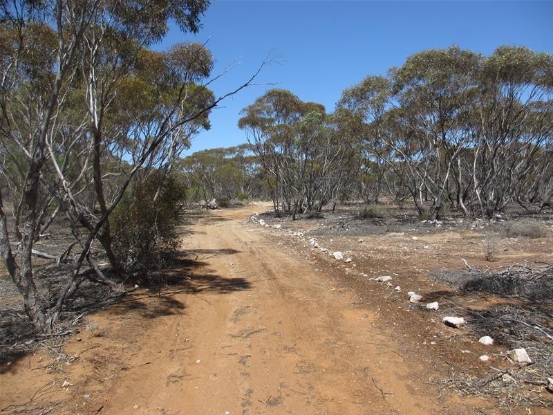 Lot 9 Old Punyelroo Road, Swan Reach SA 5354