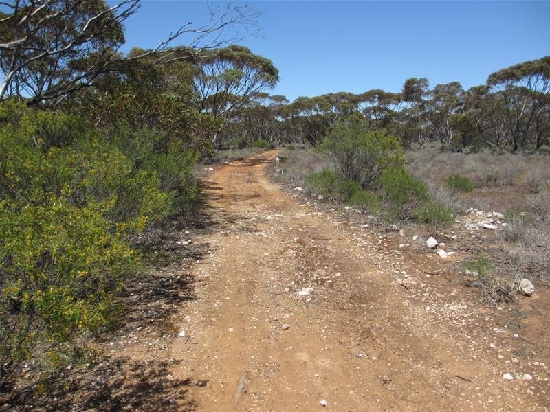 Lot 9 Old Punyelroo Road, Swan Reach SA 5354