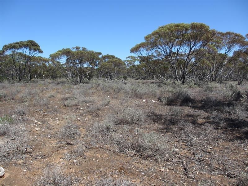 Lot 9 Old Punyelroo Road, Swan Reach SA 5354