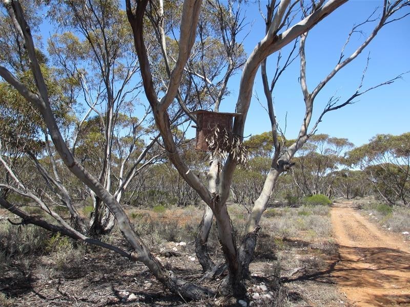 Lot 9 Old Punyelroo Road, Swan Reach SA 5354