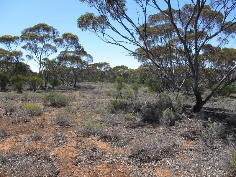 Lot 9 Old Punyelroo Road, Swan Reach SA 5354