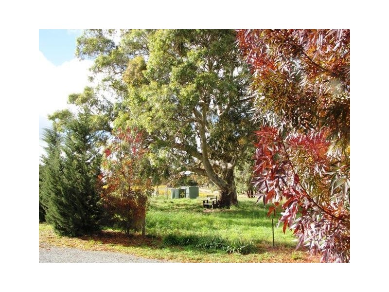 55 Blocks Road, Birdwood SA 5234