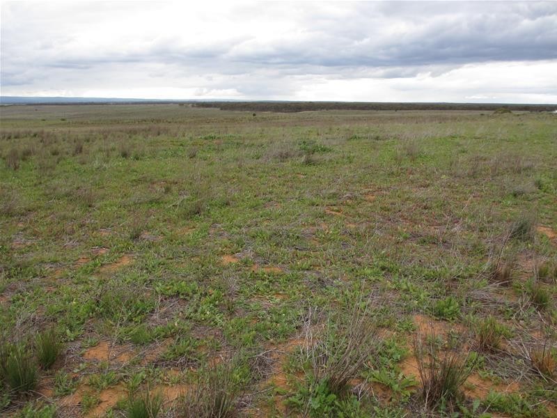 1 Havelberg Road BLACK HILL via, Cambrai SA 5353