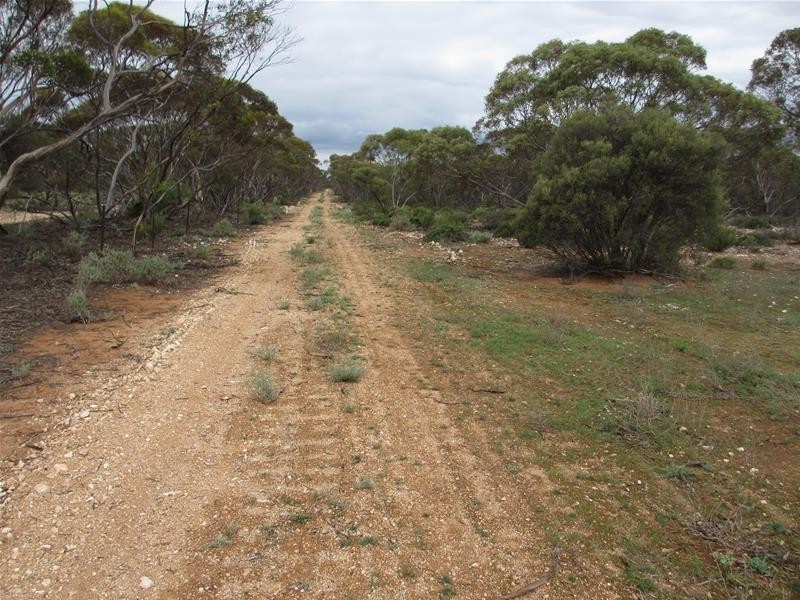 1 Havelberg Road BLACK HILL via, Cambrai SA 5353