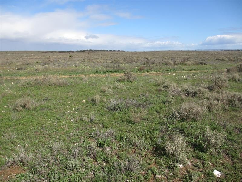 1 Havelberg Road BLACK HILL via, Cambrai SA 5353