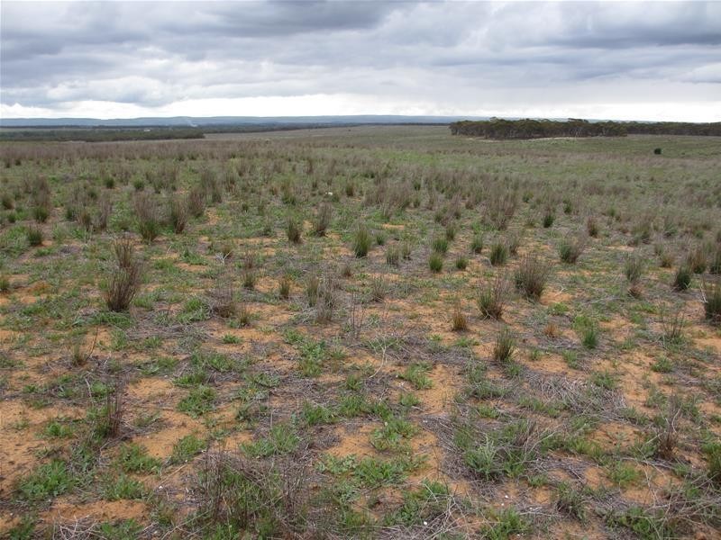 1 Havelberg Road BLACK HILL via, Cambrai SA 5353