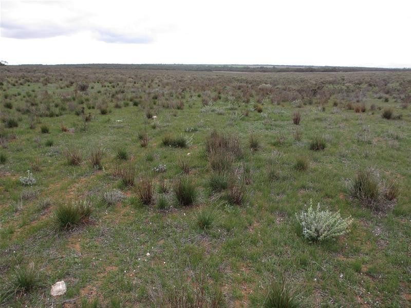 1 Havelberg Road BLACK HILL via, Cambrai SA 5353