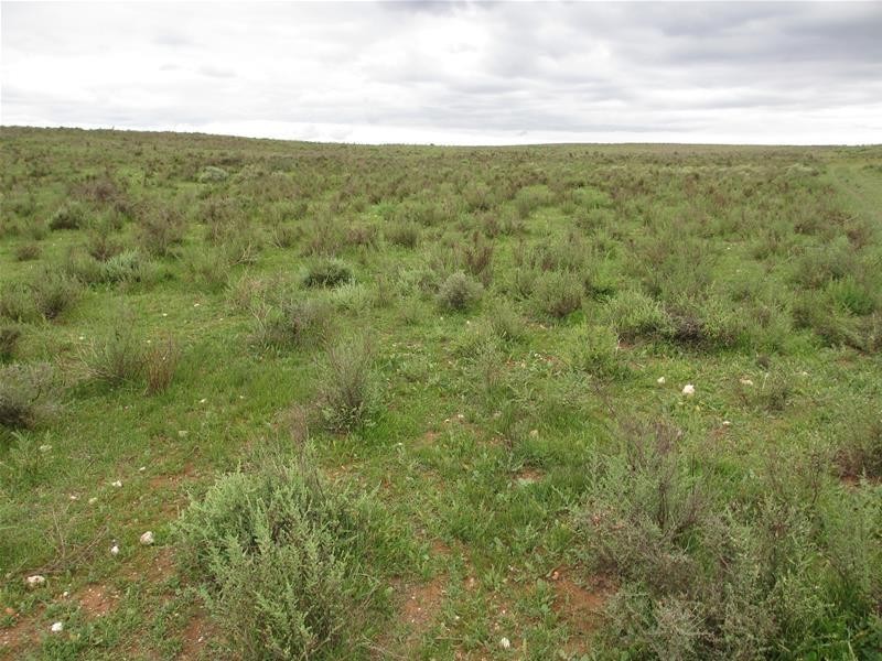 1 Havelberg Road BLACK HILL via, Cambrai SA 5353