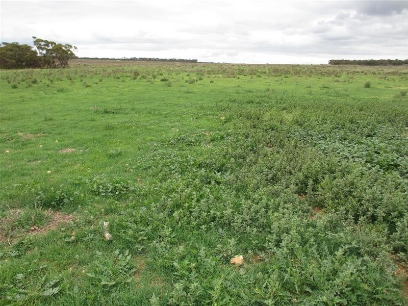 1 Havelberg Road BLACK HILL via, Cambrai SA 5353