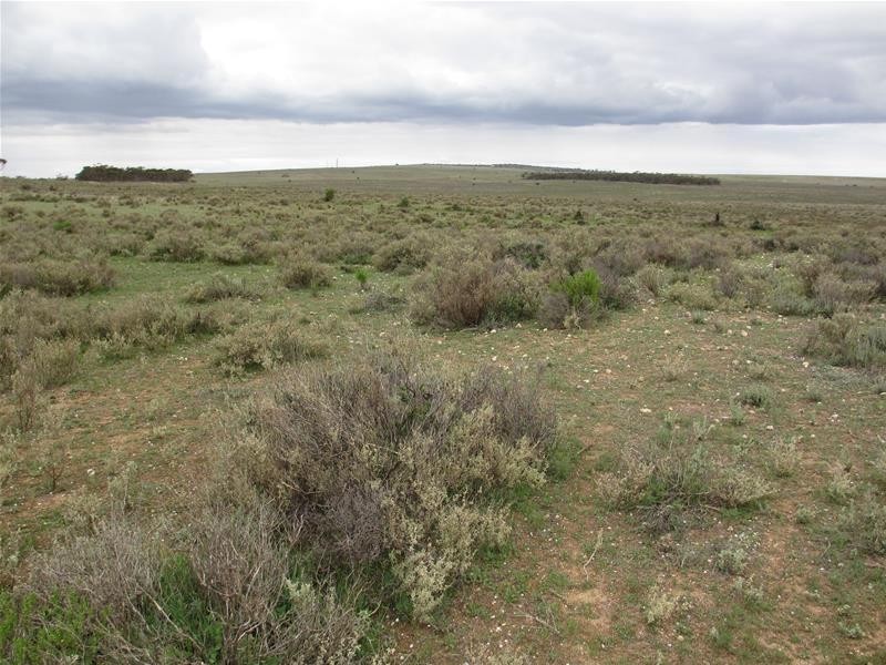 1 Havelberg Road BLACK HILL via, Cambrai SA 5353