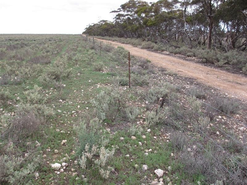 1 Havelberg Road BLACK HILL via, Cambrai SA 5353