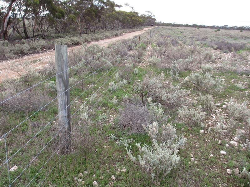 1 Havelberg Road BLACK HILL via, Cambrai SA 5353