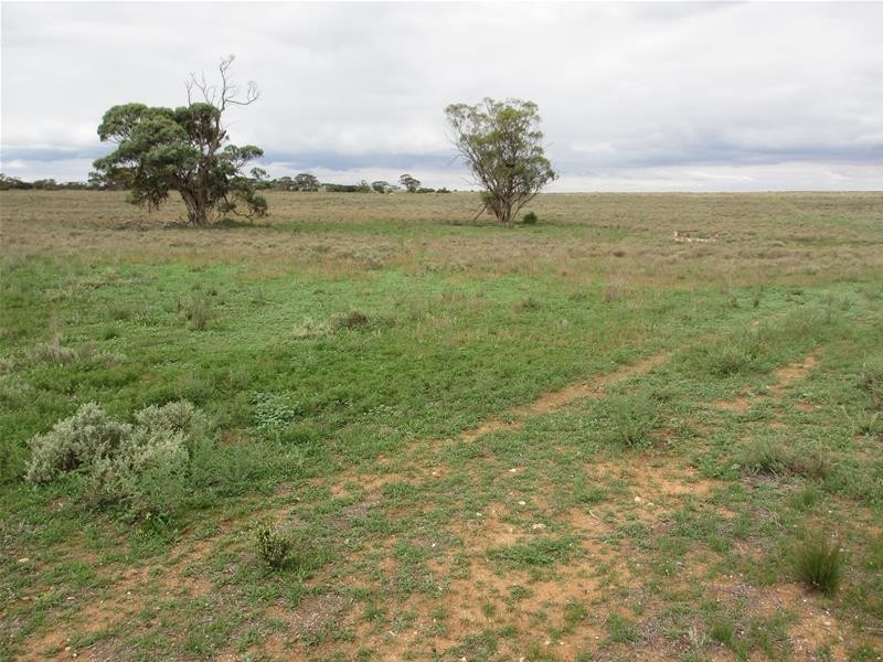 1 Havelberg Road BLACK HILL via, Cambrai SA 5353