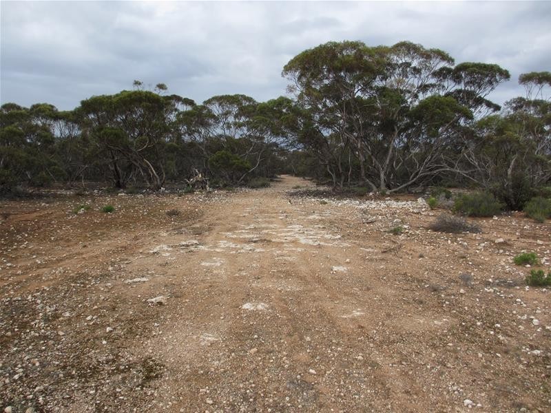 1 Havelberg Road BLACK HILL via, Cambrai SA 5353