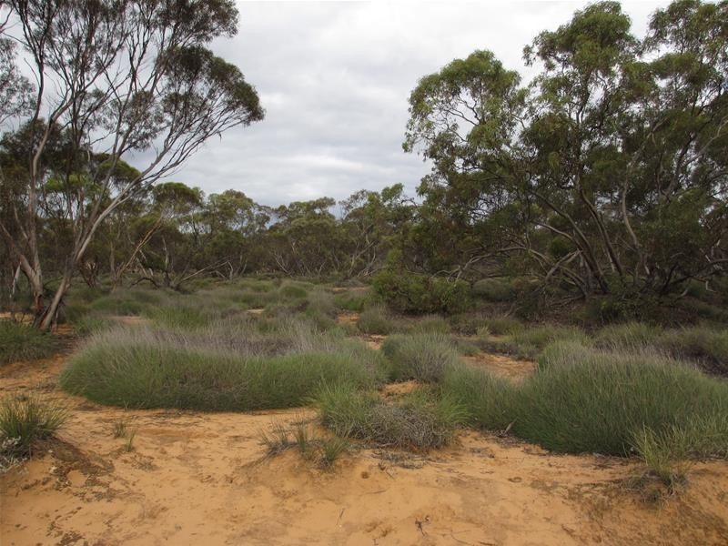 1 Havelberg Road BLACK HILL via, Cambrai SA 5353