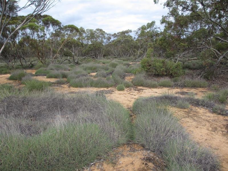 1 Havelberg Road BLACK HILL via, Cambrai SA 5353