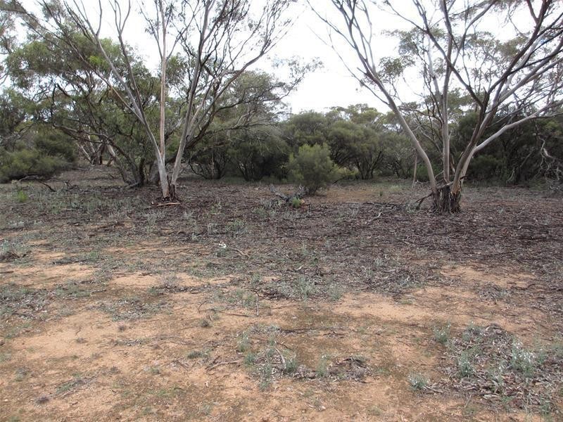 1 Havelberg Road BLACK HILL via, Cambrai SA 5353