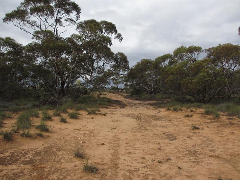 1 Havelberg Road BLACK HILL via, Cambrai SA 5353