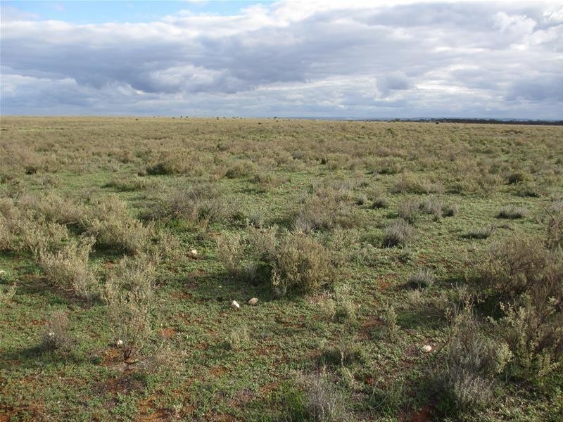 1 Havelberg Road BLACK HILL via, Cambrai SA 5353