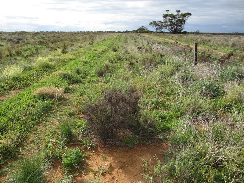 1 Havelberg Road BLACK HILL via, Cambrai SA 5353