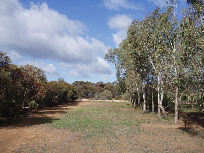 123 Schulzs Road, Black Hill SA 5353