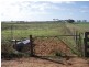 123 Schulzs Road, Black Hill SA 5353