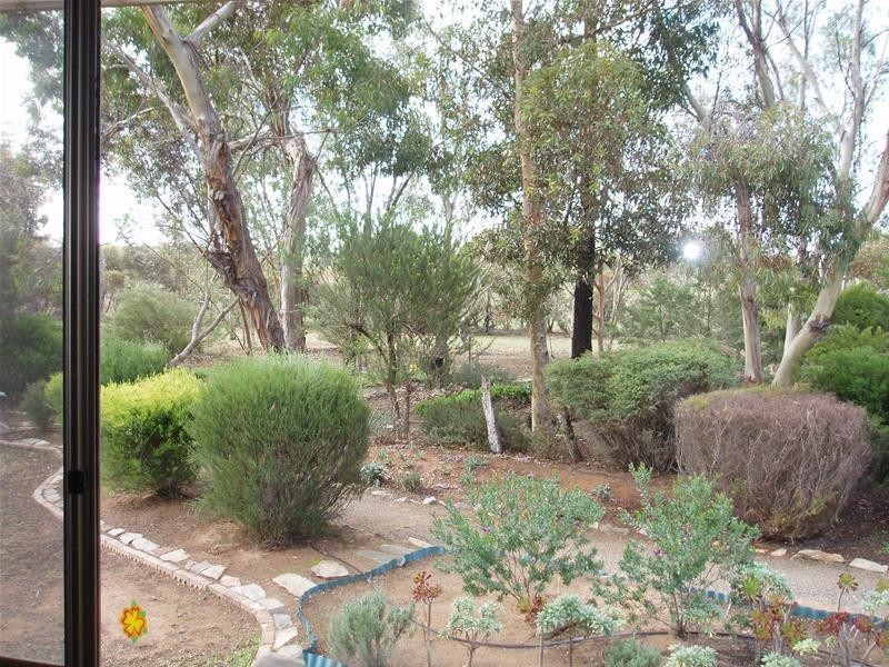123 Schulzs Road, Black Hill SA 5353