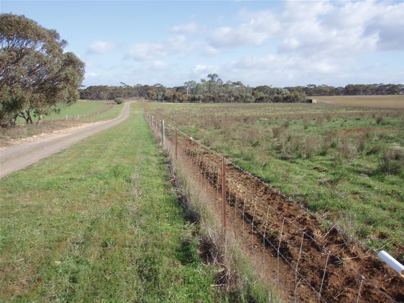 123 Schulzs Road, Black Hill SA 5353