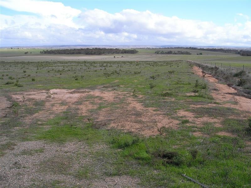 Lots 37 & 38 ‘Sunset Rise’ Magpie Crescent, Mannum SA 5238