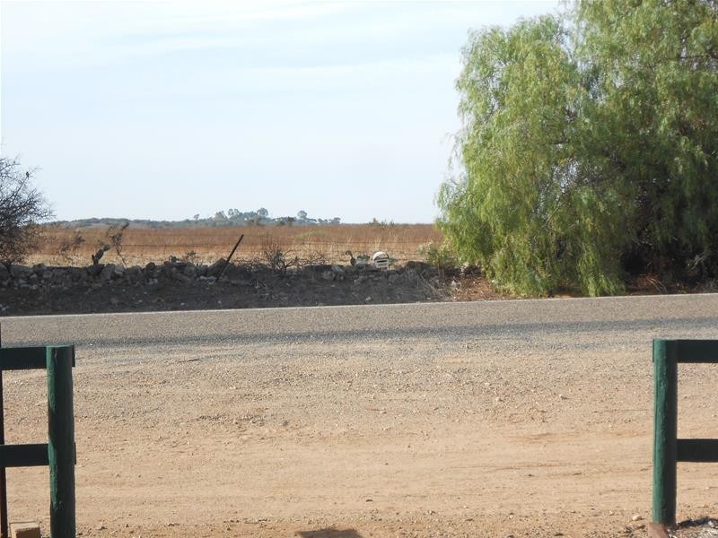 62 Murray Street, Caloote SA 5254